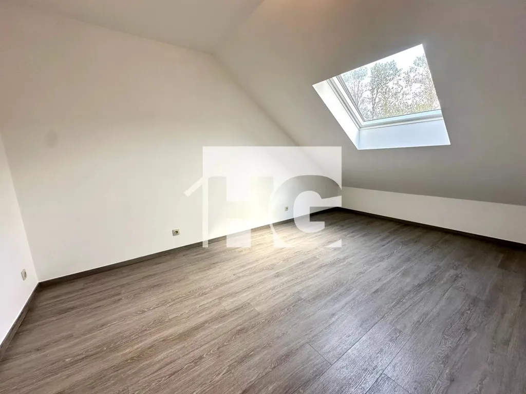 Toad - 4-Bedroom Apartment with Attic in Eischen