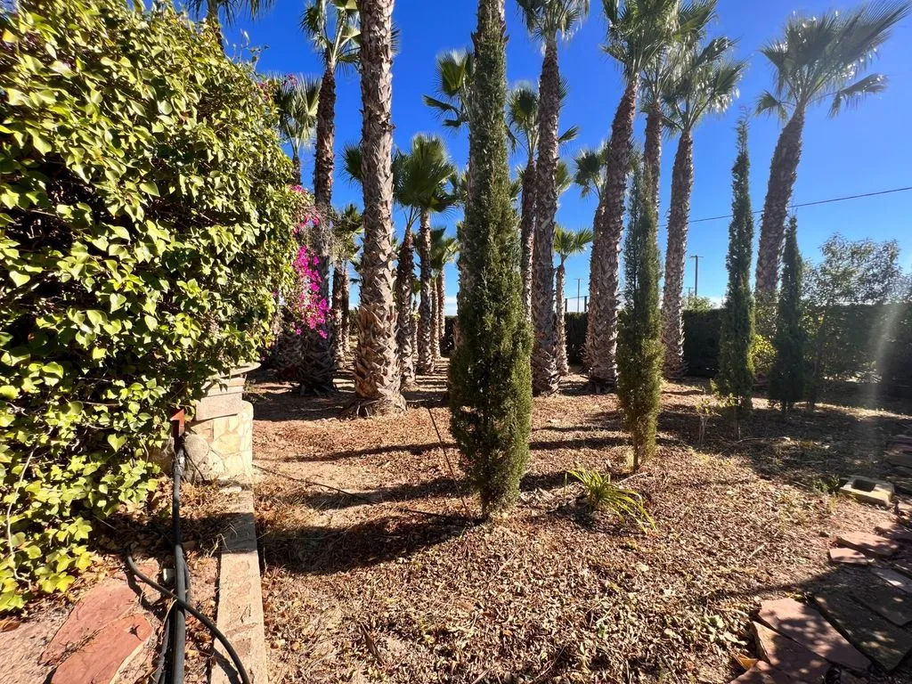 Aed - Detached House with Pool in Elche
