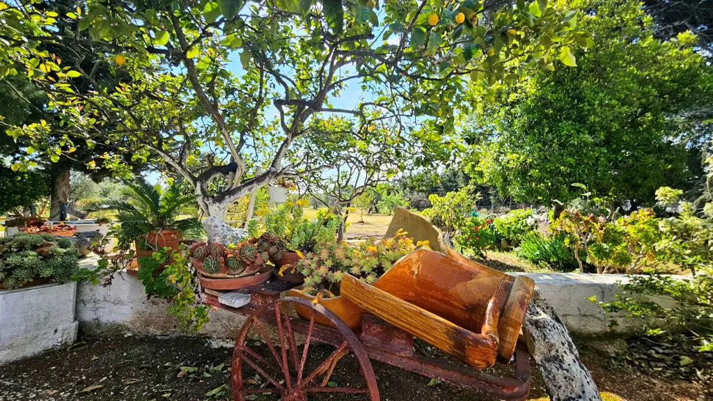 Jardin - Villa with Olive Grove near Carovigno