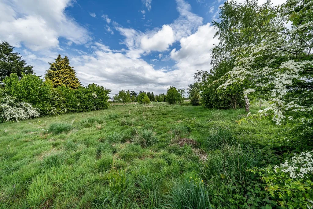 Giardino - Detached House on 54-acre Plot in Green Setting