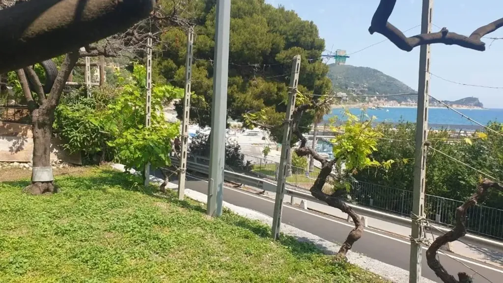 Jardin - Seafront Bilocale with Garden in Finale Ligure