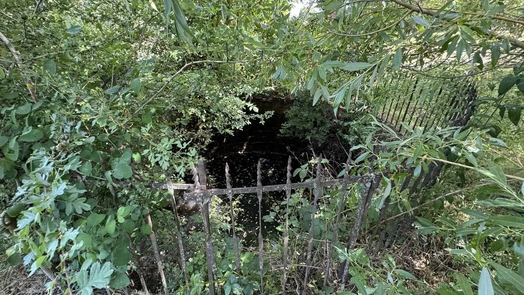 Aed - Charming Domain with Pool near Autry Isards