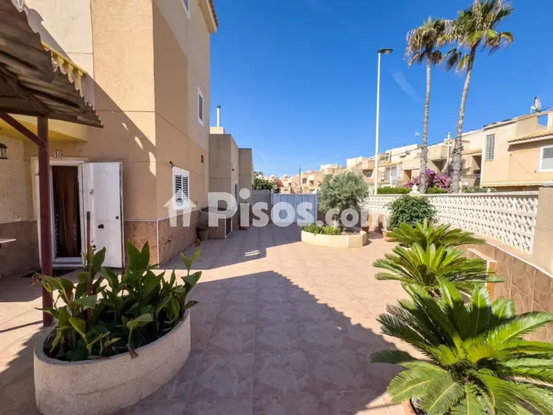 Jardin - Chalet with South-Facing Terrace in Torrevieja