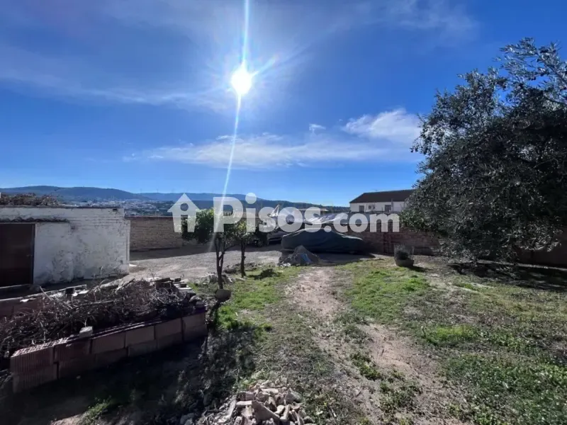 Garden - Rustic House with Garden in La Atalaya