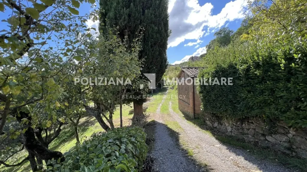 Extérieur - Rustic Casale with Olive Grove in Montepulciano