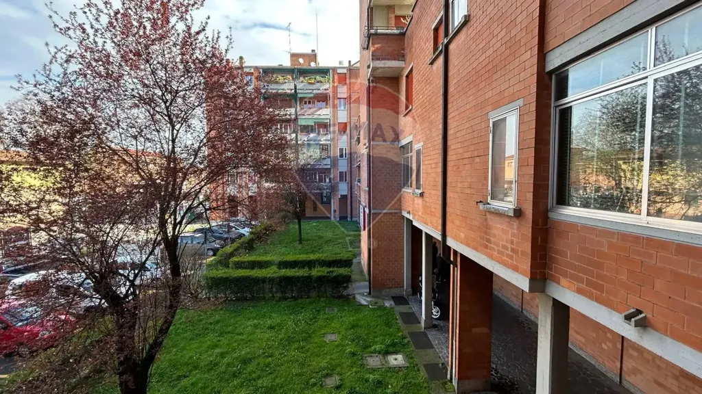 Garden - Rented Apartment with Balcony in Ferrara