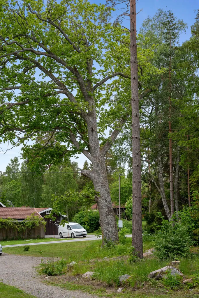 Exterior - Renovated Holiday Home with Boat Access in Båtsviken