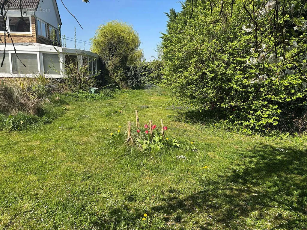 Jardin - Maison d'Architecte avec Véranda à Soultz-sous-Forêts