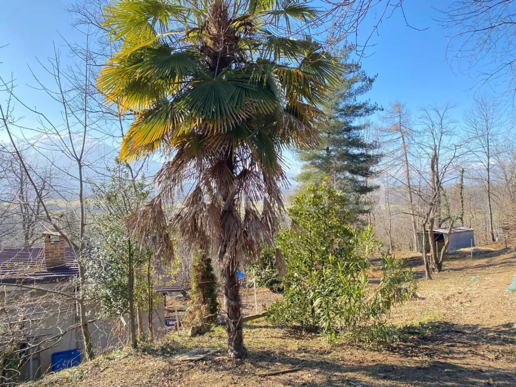 Aed - Depot with Garden and Panoramic View in Chiusa di Pesio
