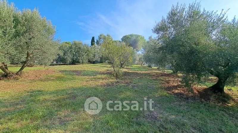 Aed - Panoramic Villa with Sea View in Rosignano Marittimo