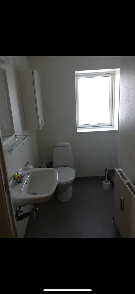 Vannitoad - One-Bedroom Flat with Laundry Access