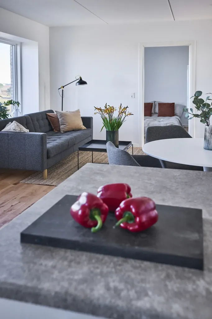 Elutuba - Apartment with Terrace in Aalborg