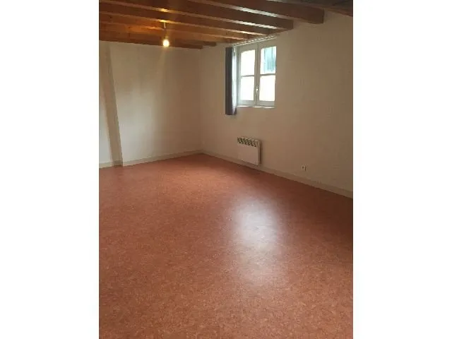 Toad - 2-Bedroom Apartment in Saumur Centre
