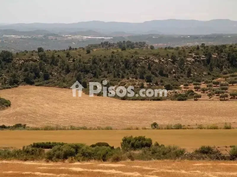 Rustic Hunting Estate in Alcañiz