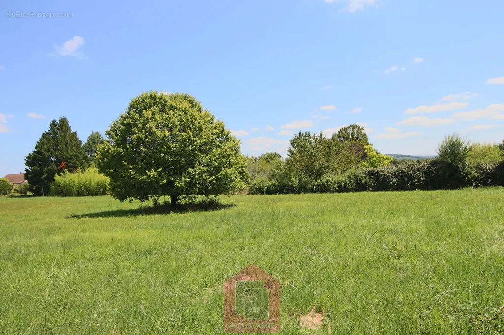 Jardin - Terrain Constructible sur les Hauteurs de Puy l'Évêque