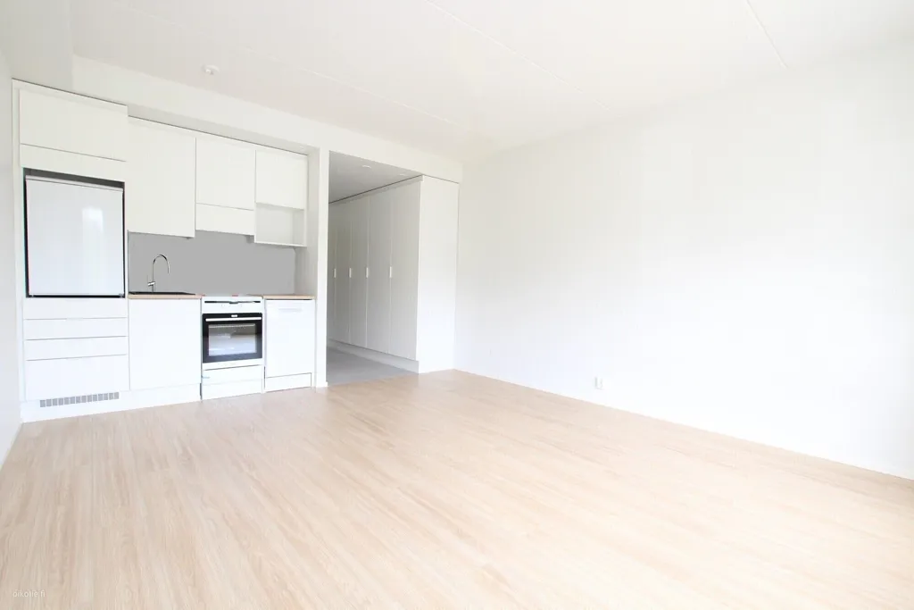 Elutuba - Bright Studio with Balcony in Koivistonkylä, Tampere
