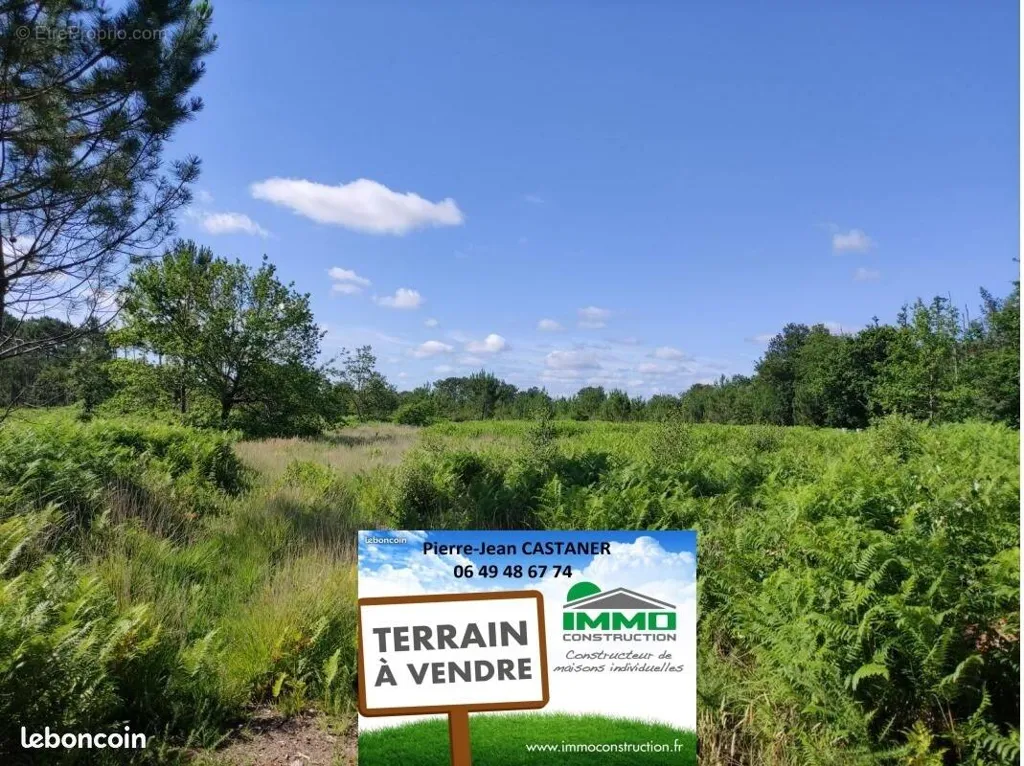 Aed - Viabilised Plot with 590 m² in Quiet Area