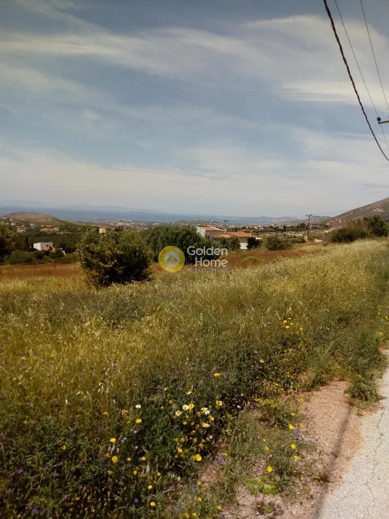 Jardin - Farmhouse with Panoramic View in Lagoni