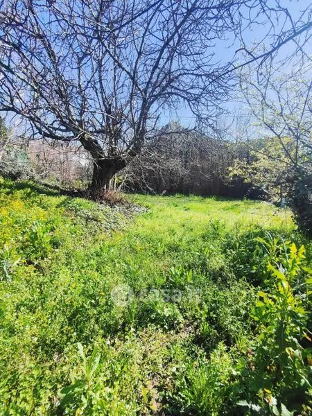 Jardin - Rustic Casetta with Garden in Moncucco Torinese