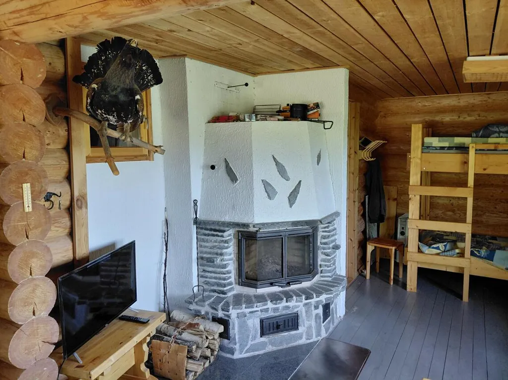 Séjour - Cottage with Lake View in Kuusamo