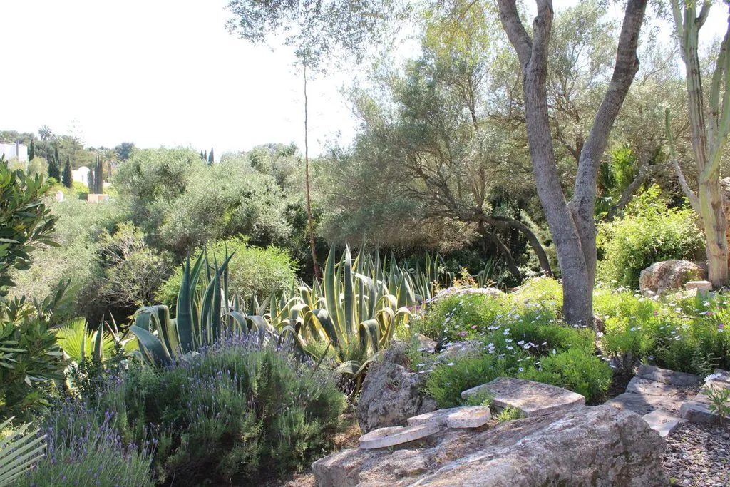 Jardin - Chalet with Pool and Terrace in Sotogrande Costa