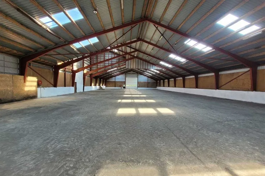Toad - Warehouse with High Ceiling in Randers SØ