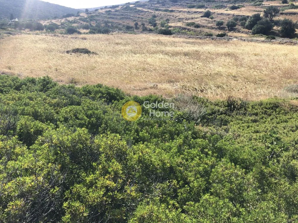 Garden - Corner Plot with View in Paros