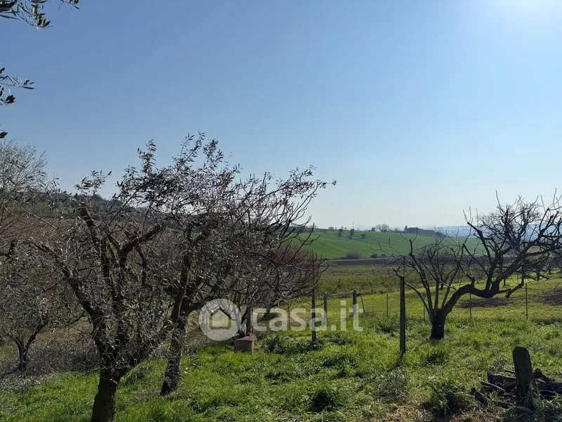 Garden - Rustic Farmhouse with Garden in Loro Piceno