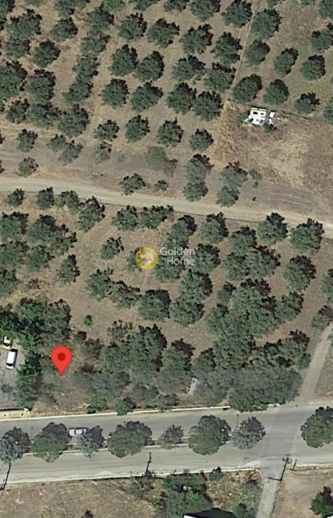 Õhuvaade - Plot with Olive Trees in Atalanti Centre