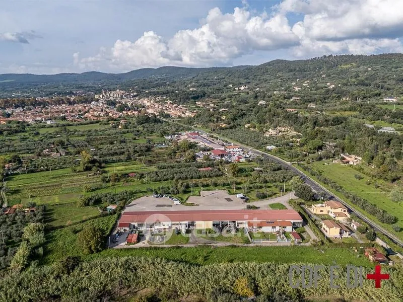Õhuvaade - Rustic Villa with Lake View in Bolsena