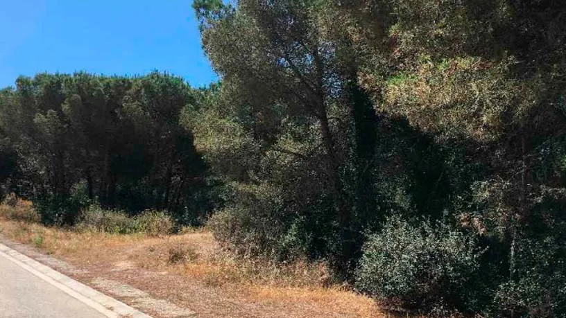 Aed - Plot with Development Potential in Òrrius, Barcelona