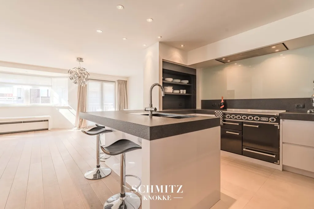 Cuisine - Appartement Spacieux avec Terrasses sur Avenue Dumortier