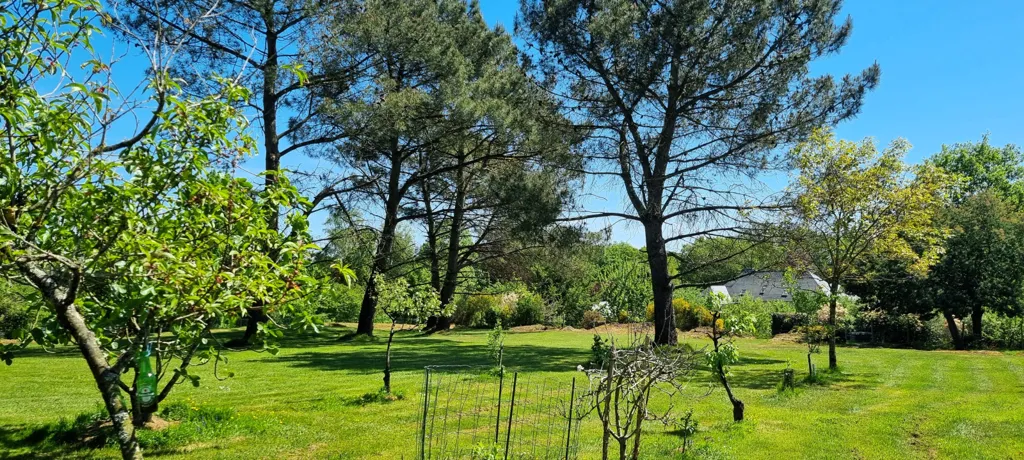 Jardin - Maison au Calme avec Jardin à Talensac
