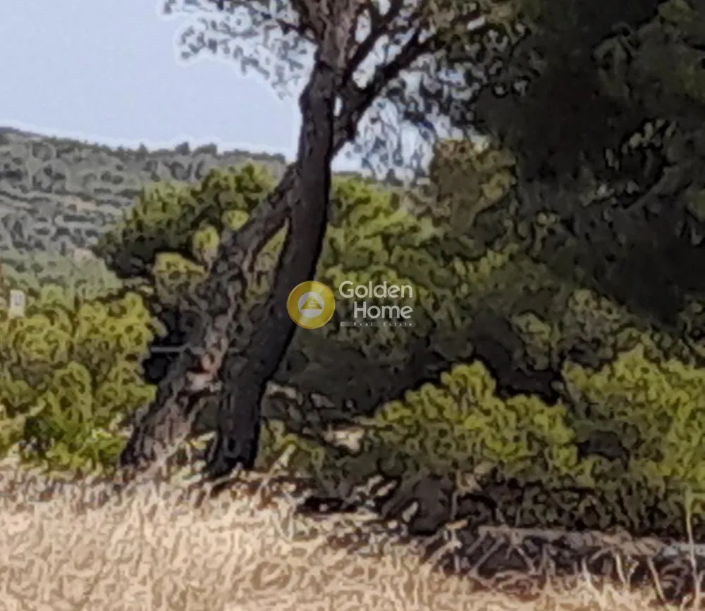 Aed - Plot for Development with Sea View in Laufas