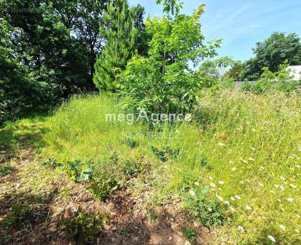 Aed - Buildable Land with Green Setting in La Chapelle Achard