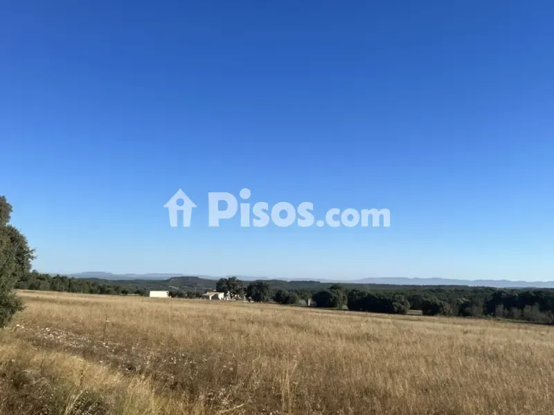 Jardin - Historic Finca with Vineyards in Requena