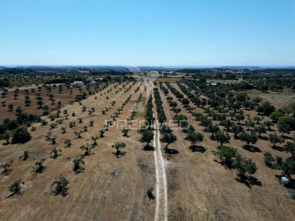 Vue aérienne - Rural Quinta with Olive Grove in Vaqueiros