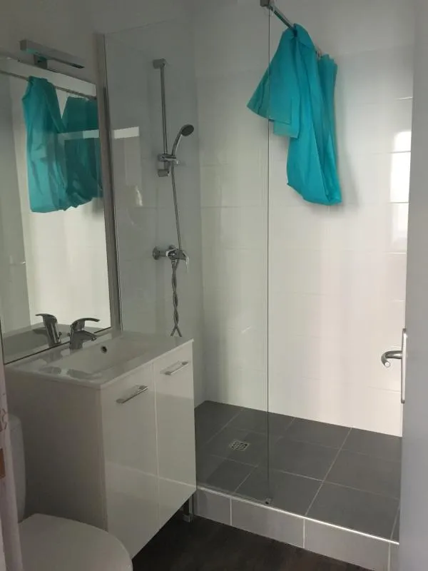 Salles de bain - Appartement Meublé 1 Pièce à Écully