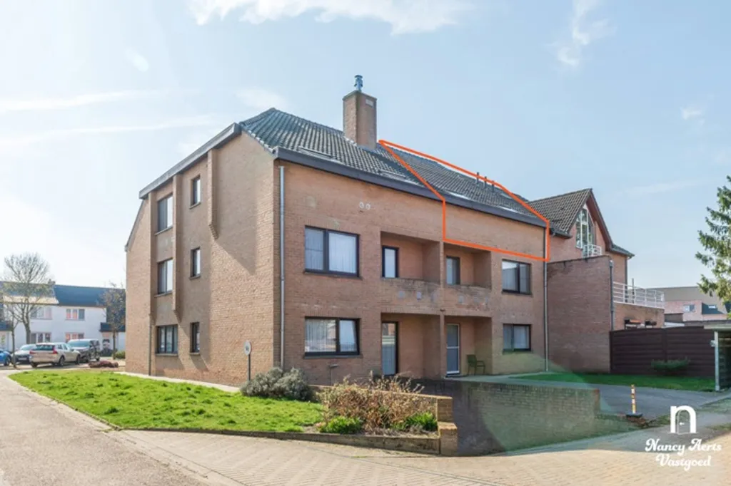 Välivaade - House in Paal, Beringen