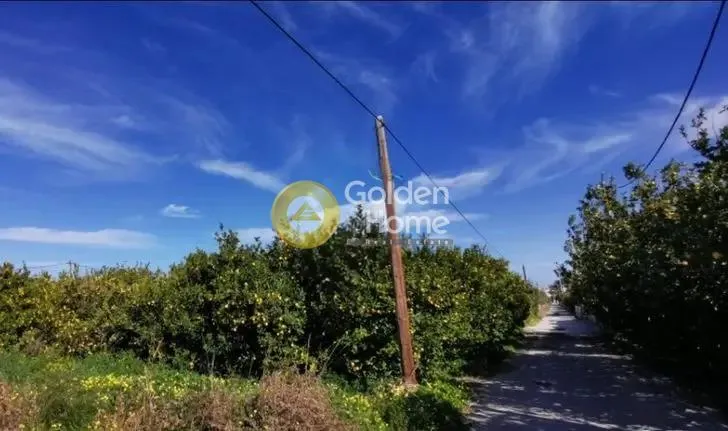 Jardin - Plot with Lemon Trees near Sounio Coast