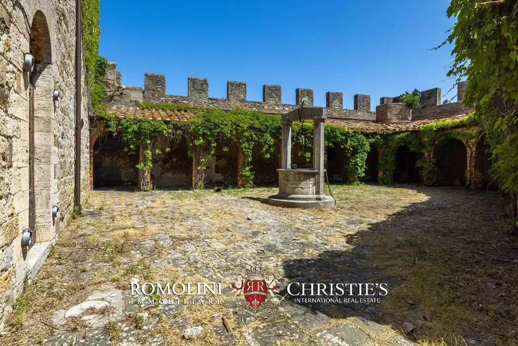 Aed - Medieval Castle with Panoramic Views in Val d'Orcia