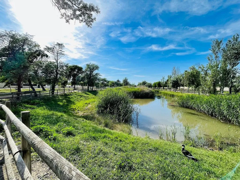 Aed - Chalet with Pool and Terrace in Pinseque