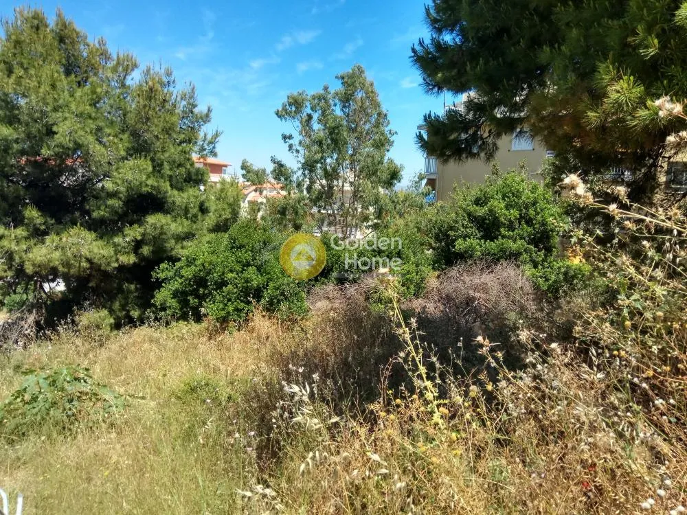 Garden - Semi-Detached House with Sea View in Rafina