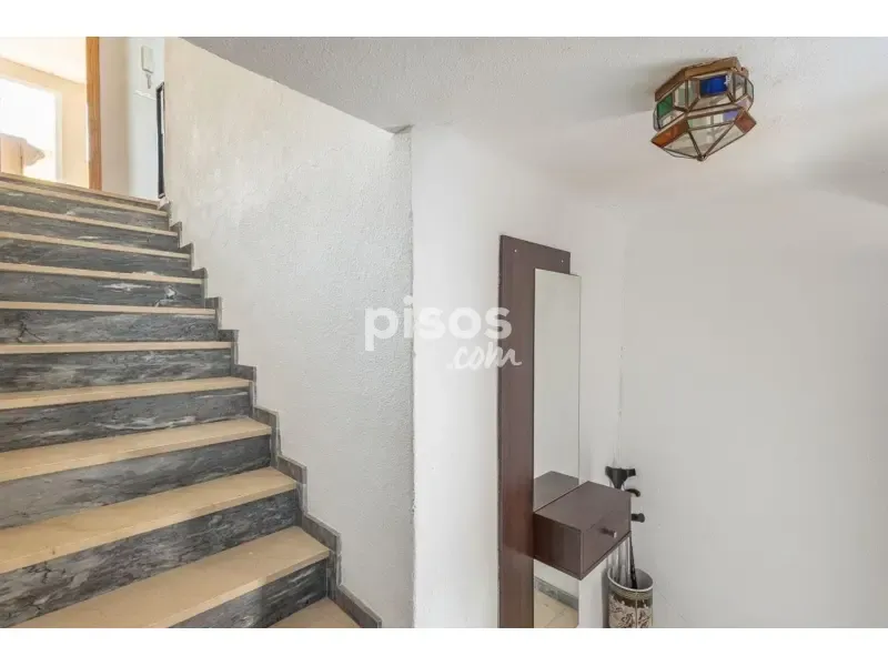 Toad - Flats with Terrace in Granada Centre