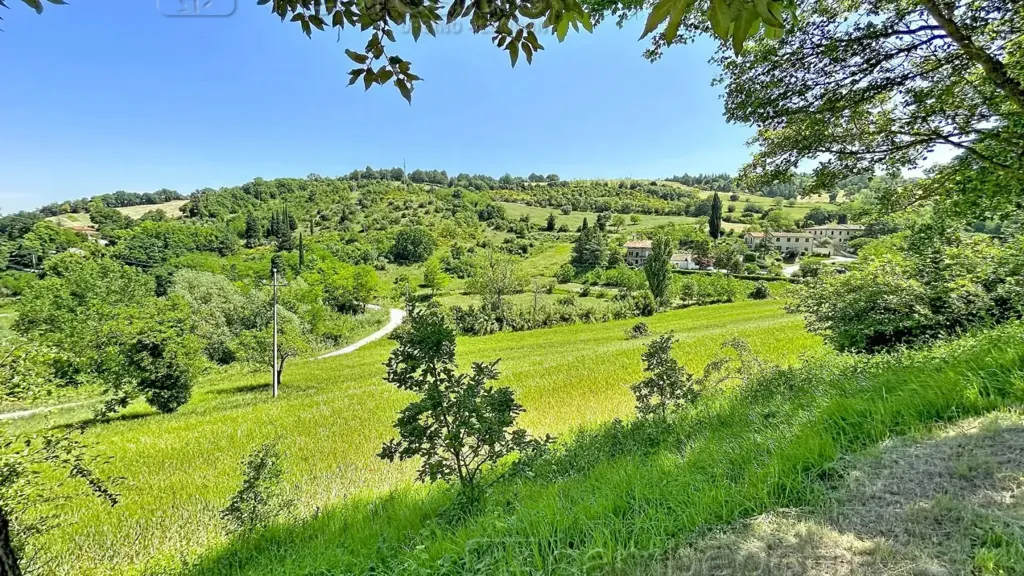 Aed - Panoramic Villa with Garden near Urbino