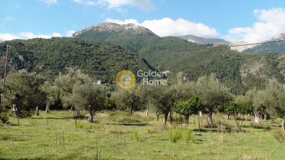 Jardin - Agricultural Plot with Castle View in Mystra