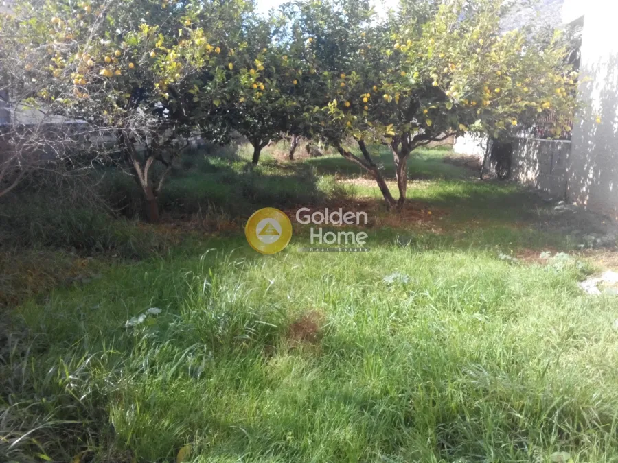 Jardin - Buildable Plot with Sea View in Anavyssos Centre