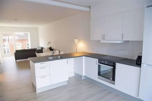 Cuisine - One-Bedroom Flat in Kolding