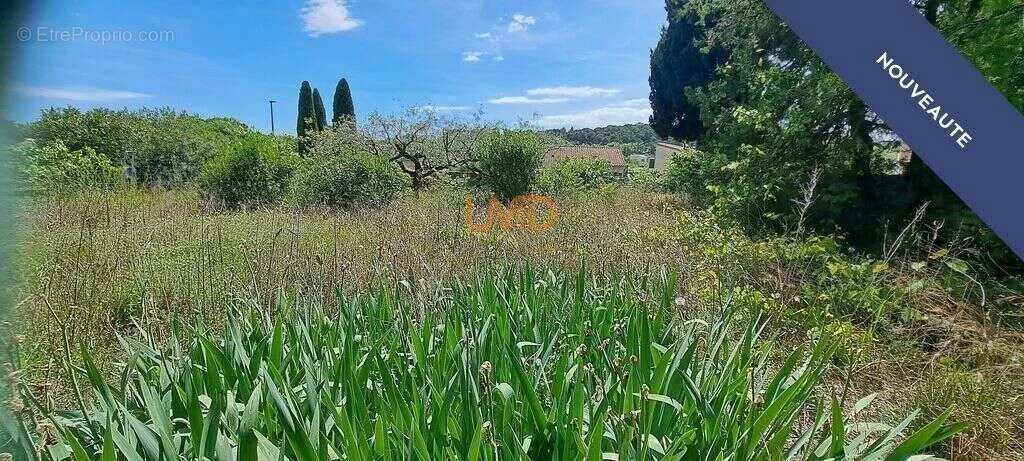 Jardin - Terrain Constructible Arboré à Congénies