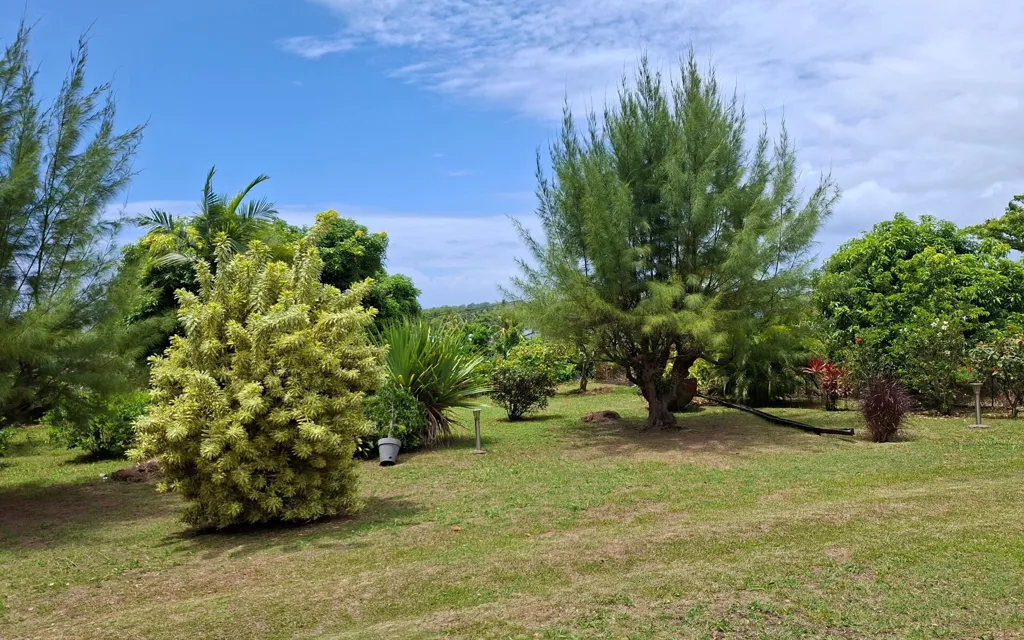 Jardin - Villa Créole Meublée avec Parc à Capesterre-Belle-Eau
